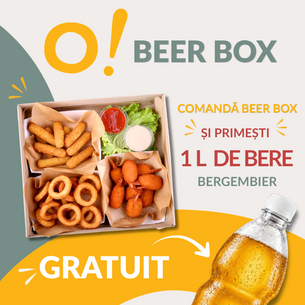 Beer Box + 1 L Bergenbier 